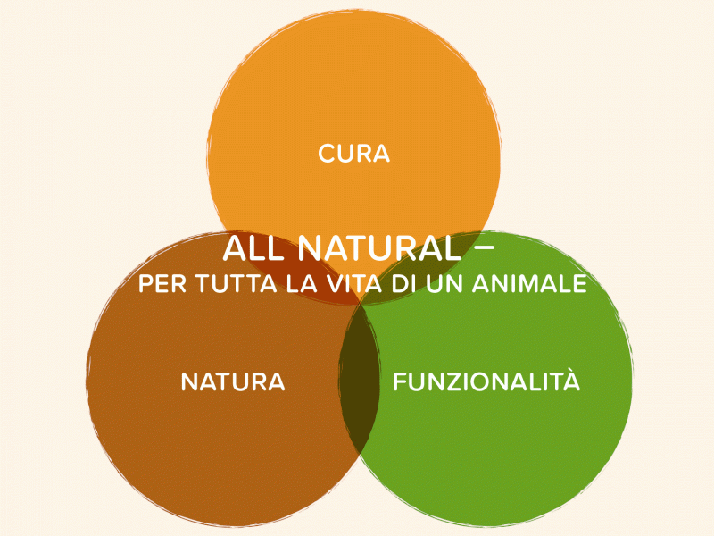 I valori di ANiFiT AG